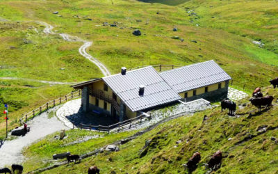 Chanrion hut – Champillon